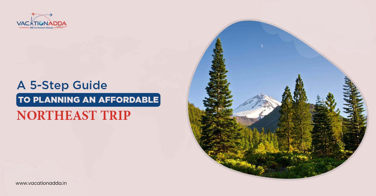 tour operator in the Northeast