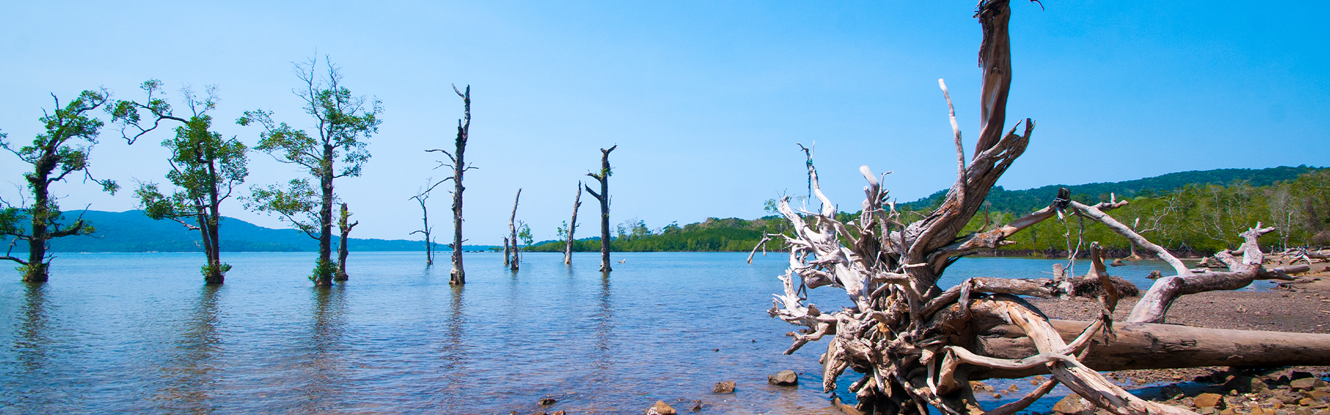 Andaman