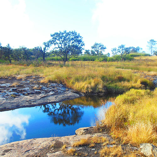 Phawngpui National Park