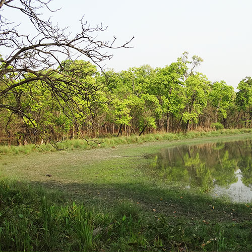 Chitwan National Park