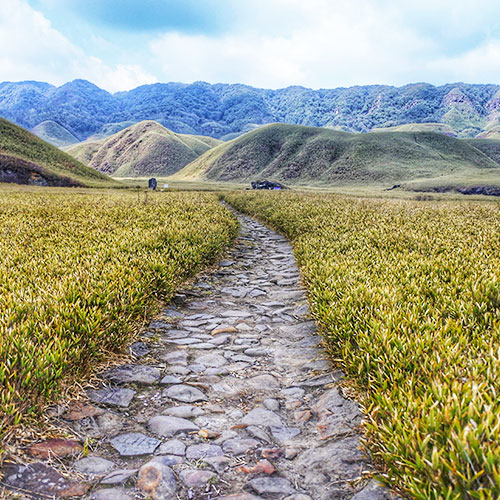 Dzukou Valley